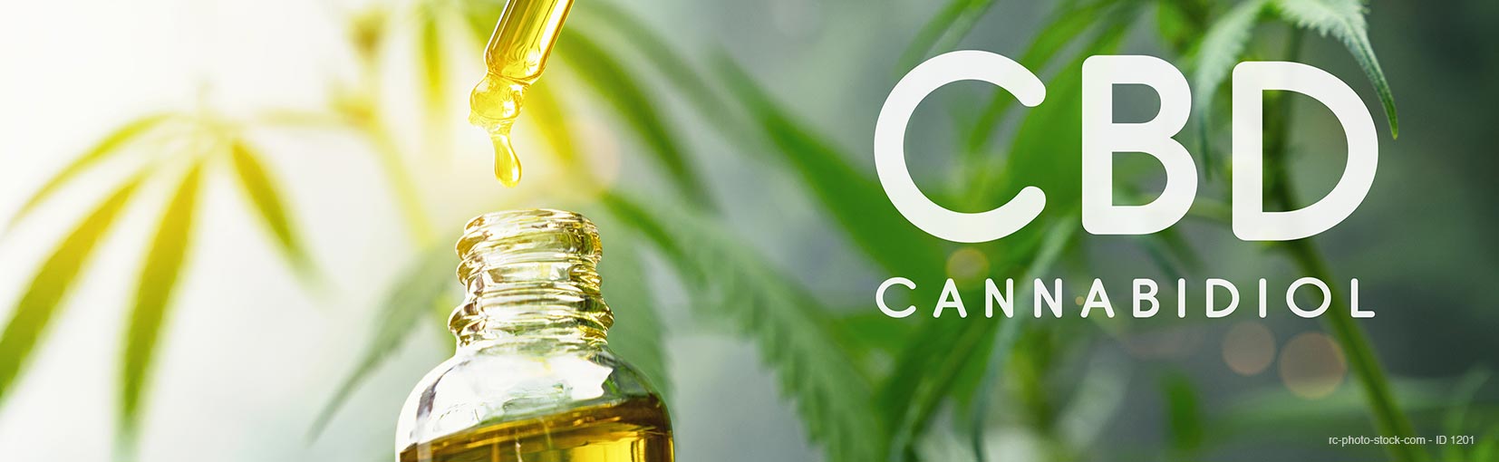 CBD droplet dosing a biological and ecological hemp plant herbal pharmaceutical cbd oil from a jar. Concept of herbal alternative medicine, cbd oil, pharmaceutical industry from ©rcfotostock